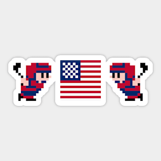 Team USA Ice Hockey Sticker